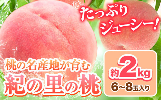 【2026年出荷分先行予約】あふれる果汁で口いっぱい！甘くてジューシーな桃 和歌山県産 紀の里の桃 約2kg (6〜8玉) 《2026年6月中旬-8月中旬頃出荷》  紀の里の桃 送料無料 6～8玉入り 旬の桃を厳選 モモ 果物 フルーツ お取り寄せ 和歌山 2025年先行予約 送料無料  白鳳 日川白鳳  なつっこ 清水白桃 川中島白桃  八旗白桃 ギフト 果物 くだもの フルーツ お取り寄せ