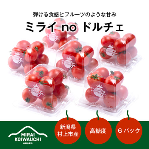 
            A4151 【数量・期間限定】【7月上旬から順次発送】『ミライ no ドルチェ』 新潟県村上産ミニトマト 200g程度×6パック
          