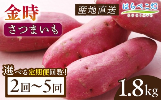 
                  《選べる回数》【定期便】さつまいも 金時 1.8kg・H126-SKU
                
