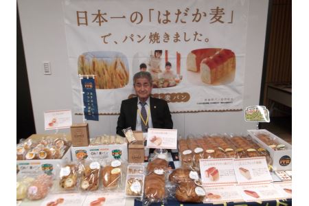 パン 無添加 老舗 6～7個セット 季節 おまかせ ランダム おすすめ はだか麦 篠崎ベーカリー 愛媛 伊予市 ｜B67