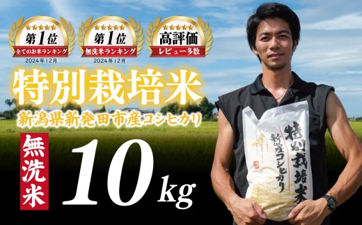 【最短7日発送】無洗米 コシヒカリ 10kg 令和7年産 特別栽培米 こしひかり 米 お米 こめ 新潟米 新潟県産 新潟産 新潟 新潟県 新発田産 新発田 新発田市 斗伸 toushin011_03