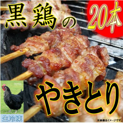 【ふるさと納税】【生冷凍】黒鶏のやきとり20本【配送不可地域：離島・沖縄県】【1503070】
