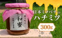 【ふるさと納税】【福岡県築上町産】上村さん家の はちみつ 「 築上町の 和蜜 」300g《築上町》【上村　忍】 [ABBX001] 12000円 1万2千円