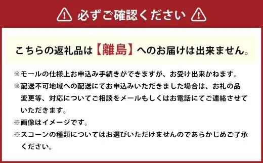 幸せをほおばる ヴィーガンスコーン 計8個 3種 おまかせセット 小麦 豆乳 手作り 焼き菓子 植物油 お菓子 菓子 おかし 洋菓子 焼菓子 ヴィーガン スコーン セット 詰め合わせ スイーツ おやつ