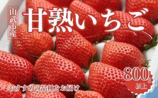 【先行予約】【12月中旬から発送】山武市産 甘熟いちご 800g以上 おすすめの品種をお届け ／ふるさと納税 いちご イチゴ 苺 果物 くだもの フルーツ 旬のくだもの 季節のフルーツ 千葉県 山武市 SMB001