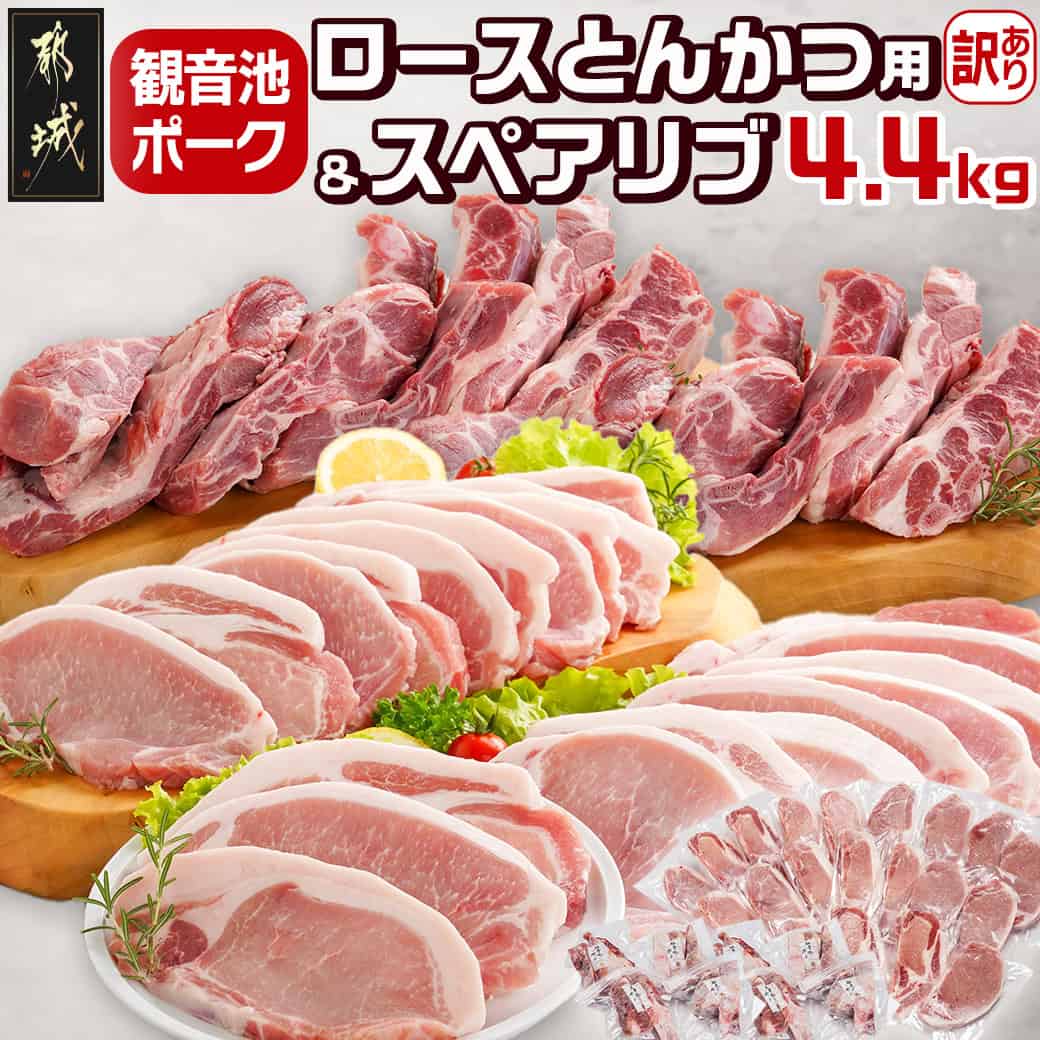 【ふるさと納税】観音池ポークロースとんかつ用【訳あり】＆スペアリブ4.4kg - わけあり ロースとんかつ用 個包装 家庭用 不揃い 不定貫 スペアリブ 骨付きのバラ肉 300gずつ小分け 食品 豚肉セット 送料無料 AC-9219 【宮崎県都城市は2年連続ふるさと納税日本一！】