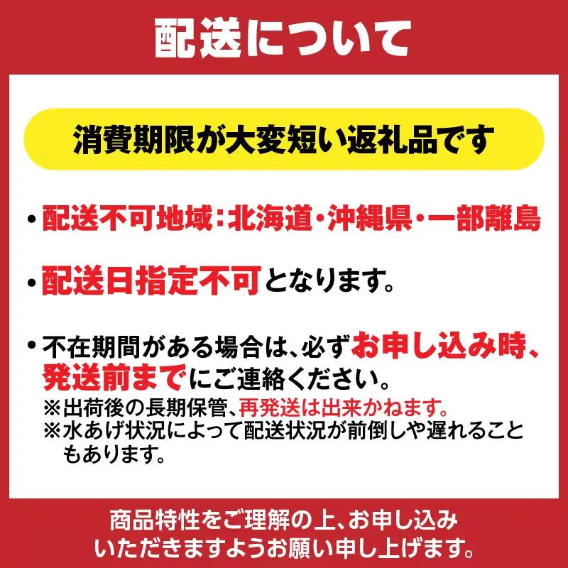 香住ガニ ボイル 大 タグ付き 2枚【令和8年11月以降発送予定】かに カニ 03-08