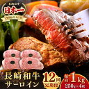 【ふるさと納税】【全12回定期便】長崎和牛 サーロインステーキ 1kg（250g×4枚）《壱岐市》【長崎フードサービス】 肉 牛肉 赤身 国産 冷凍配送[JEP030]