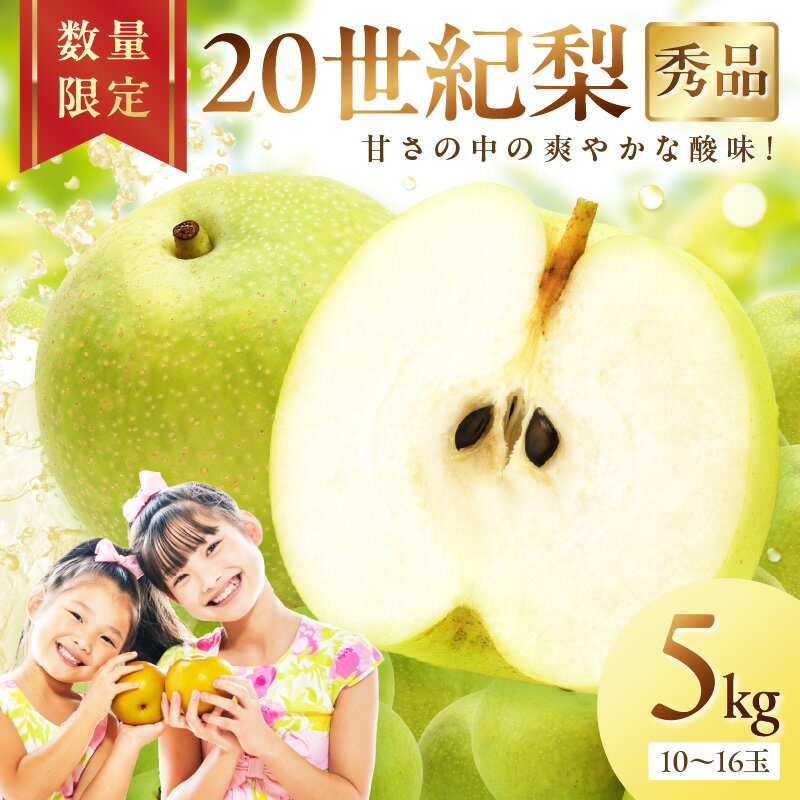 【ふるさと納税】【先行予約／数量限定600】20世紀梨（秀品） 5kg（10～16玉）（2025年8月下旬～発送） 国産 10～16 個 玉 ふるさと 納税 梨 なし ナシ ふるさと 納税 先行予約 期間限定 ふるさと 納税 フルーツ くだもの デザート 贈答 贈り物 にも