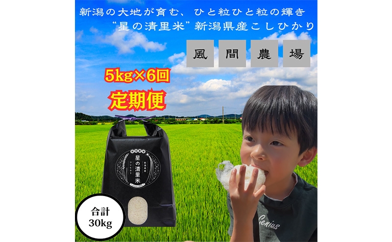 
            新米予約 令和7年 新潟県産コシヒカリ 30kg 30キロ （5kg×6回）定期便（毎月発送）上越市 風間農場 星の清里米 従来コシヒカリ 白米 精米 送料無料 安全・安心こしひかり 先行予約
          