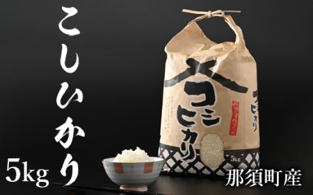 【令和6年産】那須町産こしひかり5kg お米 精米 国産 栃木県 那須町産 〔P-125〕