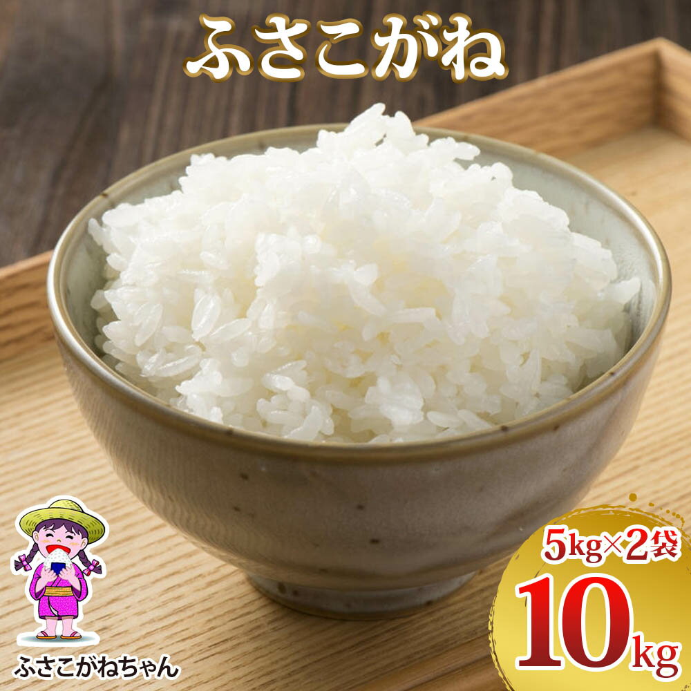 【ふるさと納税】新米 令和7年度産 ふさこがね 10kg (5kg×2)｜米 おこめ もっちり 弁当 袖ケ浦 千葉 [0500r]