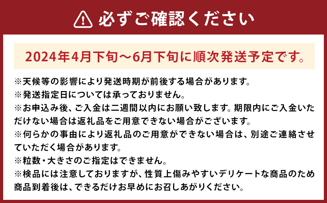 熊本県 益城町 スイカ 肥後漫遊 2L 1玉  約7kg