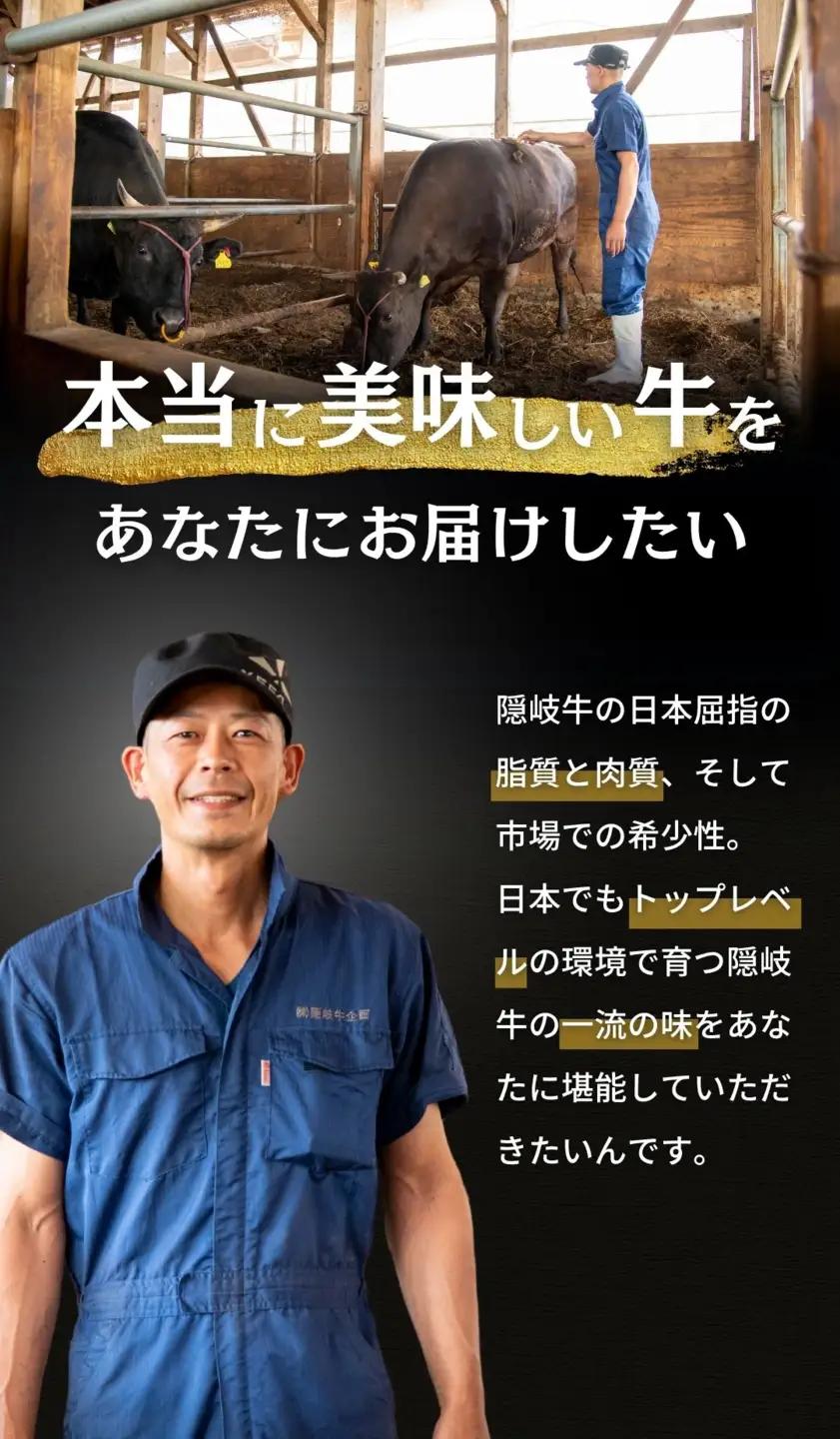 【幻の黒毛和牛 隠岐牛 上切り落とし400g】A4・A5等級 島生まれ島育ちブランド牛
