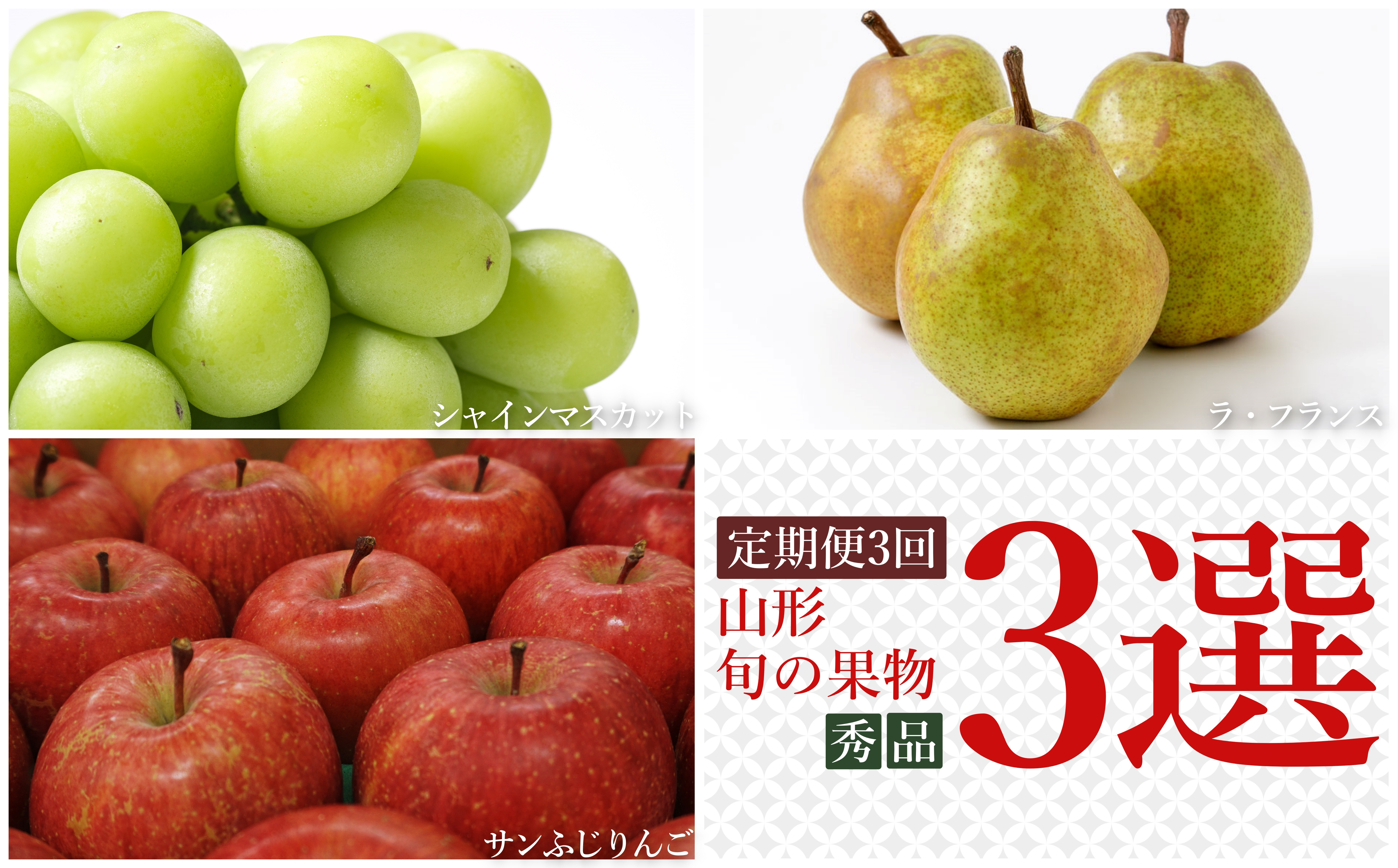 
            【2026年発送】【定期便3回】山形旬の果物3選（シャインマスカット/ラ・フランス/りんご）_H159(R8)
          