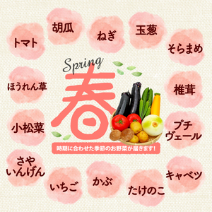 【厳選】 野菜セット 1回