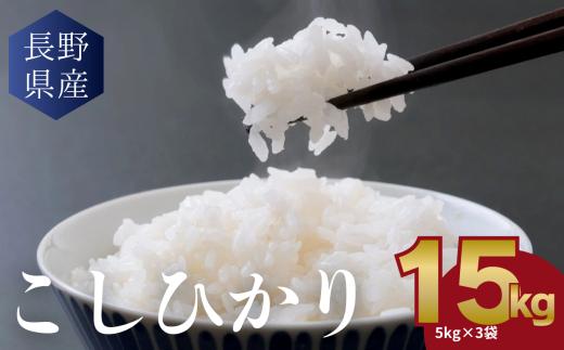 こしひかり 白米 15kg(5kg×3袋) │信州 松本市 米 お米 コシヒカリ こしひかり アルプス 国産米 長野県産 おすすめ 白米 ふっくら 農家 ふるさと納税 松本市 美味しい