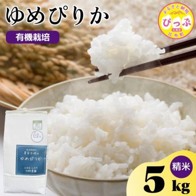 ふるさと納税 比布町 令和7年産 今野農園 ゆめぴりか 精米5kg【ピリカ(株)】