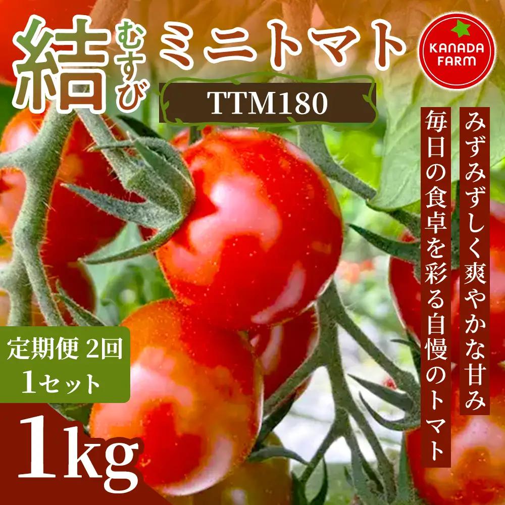 《先行予約》【定期便2ヶ月】結（むすび）ミニトマト（TTM180）1kg 定期便 みずみずしく爽やかな甘み 新鮮野菜 フルーツ 旬 サラダ デザート お弁当 朝食 料理用 そのまま食べる おうちごはん お取り寄せ 産地直送 贈り物 手土産 愛知県 豊橋市
