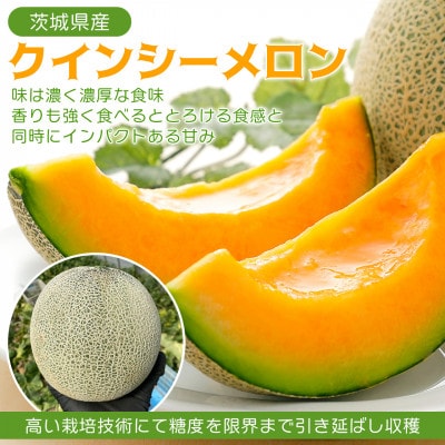 【内山農園】いばらきメロンコンテスト2025クインシーメロン(2玉3kg)2026年5月より発送開始【配送不可地域：離島・沖縄県】