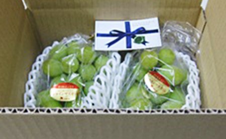 綾川町産　極上シャインマスカット　2房（化粧箱入り）約1kg 果物 ぶどう フルーツ 葡萄 種なし 