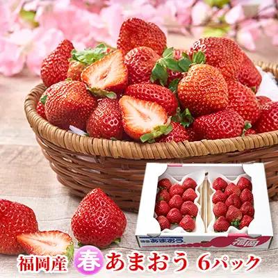いちご あまおう 6パック 1Pあたり約250g 春 いちご