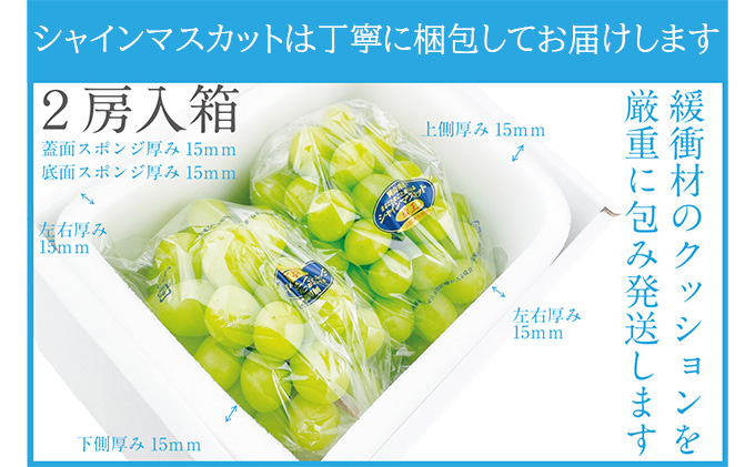 ぶどう 2024年 先行予約 シャイン マスカット 晴王 2房（合計約1.1kg） 晴れの国 おかやま 岡山県産 フルーツ王国 果物王国