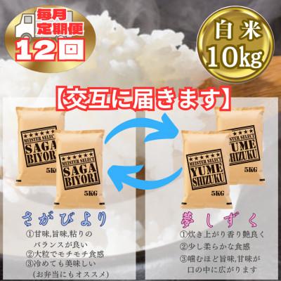 ふるさと納税 江北町 【毎月定期便】食べ比べ白米10kg(さがびより・夢しずく)(江北町)全12回 |  | 01