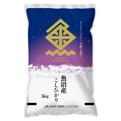 ふるさと納税 魚沼市 令和7年産　魚沼産コシヒカリ　精米5kg