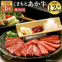 【ふるさと納税】【3ヶ月定期便】くまもと あか牛 焼肉 約400g×3回お届け 合計約1.2kg 3ヶ月 定期便 GI認証 お肉 カット済み 焼肉用 熊本県産 牛肉 赤牛 九州産 国産 冷凍 送料無料