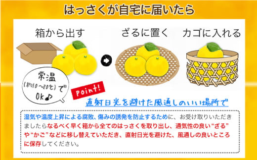 【訳あり/ご家庭用】はっさく 約4kg (4L~Sサイズ サイズ不選別) 早生･晩生指定不可《2月上旬-4月中旬に出荷予定(土日祝除く)》和歌山県 岩出市 産地直送 みかん 八朔 柑橘 果物 フルーツ