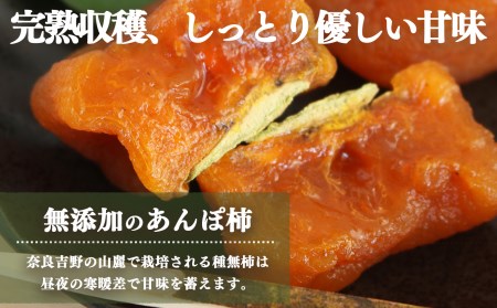 【 堀内果実園 】 優しい甘さ あんぽ柿 ギフト セット 10個｜フルーツ 果物 くだもの 柿 干し柿 かき カキ お菓子 あんぽ柿 和菓子 奈良県 五條市 凝縮 お取り寄せ グルメ 送料無料 極上 