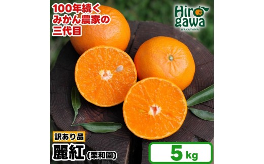 麗紅 れいこう 訳あり 5kg / オレンジ 甘い 家庭用 和歌山 有田 柑橘 ※2027年2月中旬〜3月下旬に順次発送 【krw012-c-5】