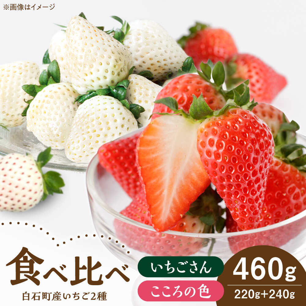 【ふるさと納税】【R8年1月以降発送】こころの色＋いちごさん 計460g （こころの色220g、いちごさん240g） 【StrawberryFarm-K】 [IBJ022]