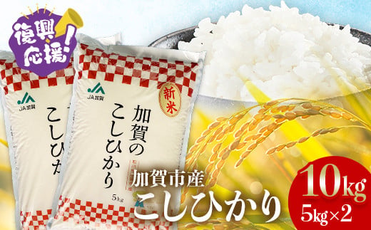 
            こしひかり 精米 10kg（5kg×2）新米 令和6年産 コシヒカリ 小分け 銘柄米 お米 米 ギフト 贈り物  グルメ 食品 復興 震災 コロナ 能登半島地震復興支援 北陸新幹線 F6P-2395
          