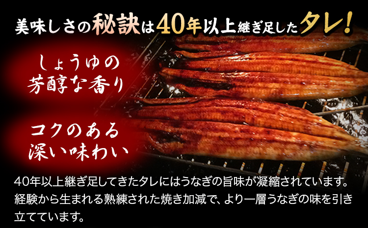 大型サイズ ふっくら柔らか国産 うなぎ 蒲焼き 2尾 化粧箱入(真空パック入) 株式会社魚鶴《30日以内に出荷予定(土日祝除く)》 和歌山県 日高川町 うなぎ 鰻 ギフト 贈り物---wshg_fuo