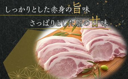 オリーブ豚　ロースブロック1000g | 国産 オリーブ豚 豚肉 ロース ブロック 肉 お肉 オリーブ 豚肉 国産 人気 ブタ ロース 豚肉