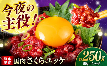 馬肉さくらユッケ 250g ( 50g × 5 ） 【合同会社　長岡フーズ】[ZFR017]