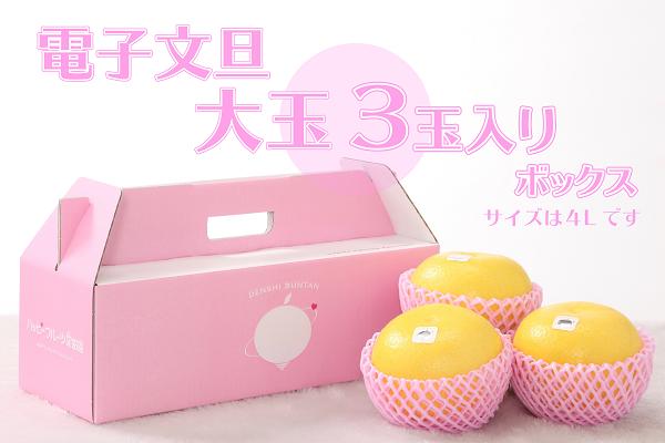 【ふるさと納税】 ハッピーフルーツ果樹園の電子文旦 3玉 大玉 贈答用 柑橘 みかん 文旦 ぶんたん ブンタン 果物 フルーツ 特産品 産地直送 旬 ギフト 贈り物 プレゼント 冬 正月 お歳暮 お中元 高級 甘い 美味しい 農家 地元 名産 特別栽培 自然 四国 宿毛市 高知県 9000円
