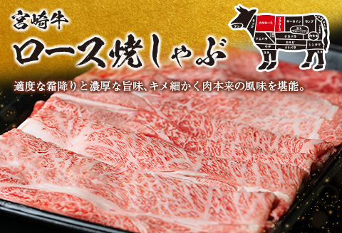 【最短2週間以内で発送】生産者応援 数量限定 宮崎牛 ロース 焼きしゃぶ 計1.2㎏ 牛肉 ビーフ 黒毛和牛 ミヤチク 国産 ブランド牛 食品 おかず おすすめ 贅沢 イベント お取り寄せ グルメ パ