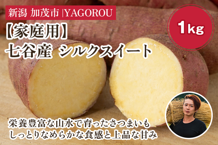 【2025年先行予約】【家庭用】シルクスイート 1kg（A品・B品混在） 新潟県加茂市七谷産 さつまいも《11月下旬〜順次発送》 サツマイモ お芋 焼き芋 スイートポテト 野菜 根菜 低温熟成 加茂市 YAGOROU ヤゴロウ