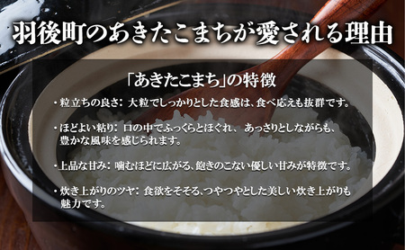 10月発送開始〈先行予約〉農家直送 秋田県産 あきたこまち 10kg (5kg×2)[令和7年産] 大谷地ファーム 田代のお米【 米 お米 ご飯 あきたこまち ブランド米 銘柄米 農家直送 特産品 秋