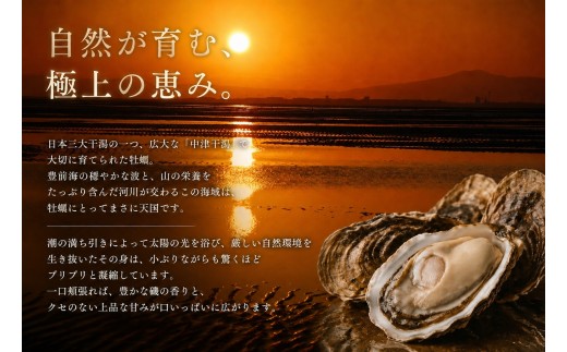 【訳あり】殻付き真牡蠣 600g | 牡蠣 カキ かき 真牡蠣 生食用 殻付き 海鮮 魚介 海のミルク おつまみ おかず 訳あり 家庭用 大分県 中津市
