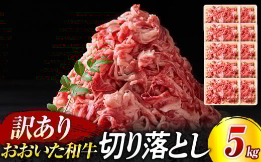 
            訳あり！おおいた和牛 切り落とし 5kg（500g×10p）
          