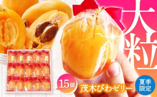 【2025年5月上旬〜発送】【夏季限定】茂木びわ ゼリー 15個入 / びわ ビワ ゼリー フルーツ 果物 ギフト 贈答 お中元 / 南島原市 / 本田屋かすてら本舗 [SAW041]