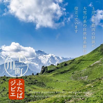 ふるさと納税 上川町 ハンターが営む鹿肉加工工場の「上川えぞ鹿肉 ロースステーキ」500g【4000】 |  | 03