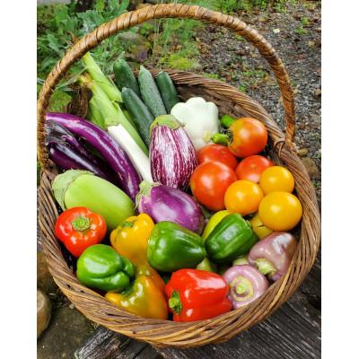 ふるさと納税 原村 季節の野菜セット(Lサイズ) |  | 01