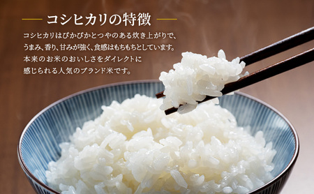 【令和7年産 会津田島の極上祇園米】コシヒカリ（玄米）10kg 米  玄米 福島県 南会津町産