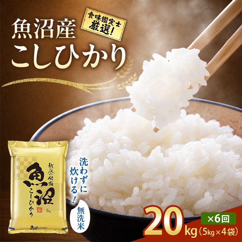 【令和8年産 先行予約】無洗米「6カ月定期便」食味鑑定士厳選！２０ｋｇ（５ｋｇ×４）×６回 白米 安心 安全 こだわり 米 コシヒカリ 定期 新潟県 十日町市