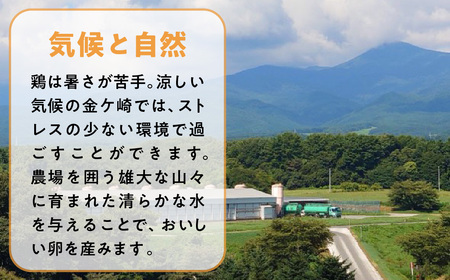 たまご 卵 6個入り 6P MS ～ LLサイズ 小分け 燦然 さんぜん 玉子 タマゴ 生たまご 生卵 生玉子 鶏卵 支援 障がい者支援 就労支援 新鮮 お試し たまごかけご飯 岩手県 金ケ崎町